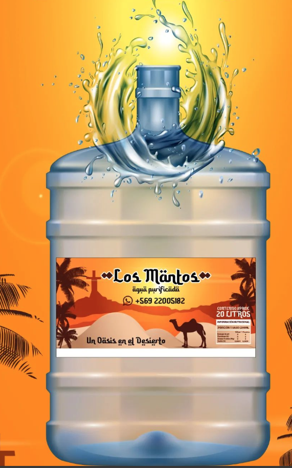 Manilla de transporte